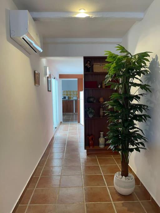 Casa Da Oliveira Villa Mourao Ngoại thất bức ảnh